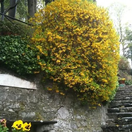 Morante Feriehus Borgo a Mozzano